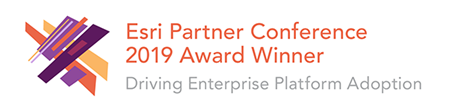 Esri Partner Conference Award Winner