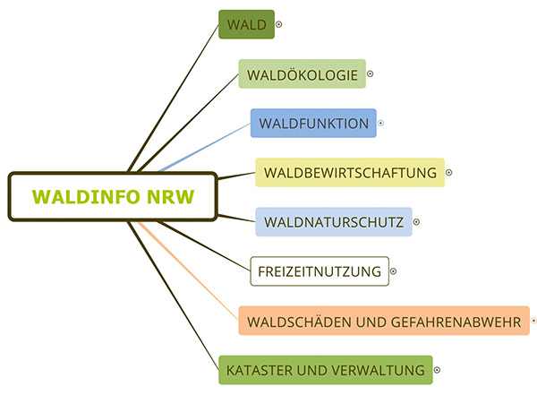 WaldinfoNRW Hauptgruppen, Quelle: Wald und Holz NRW