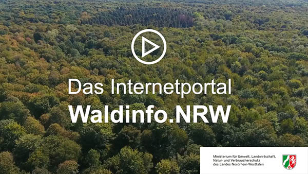 Waldinfo.NRW Video